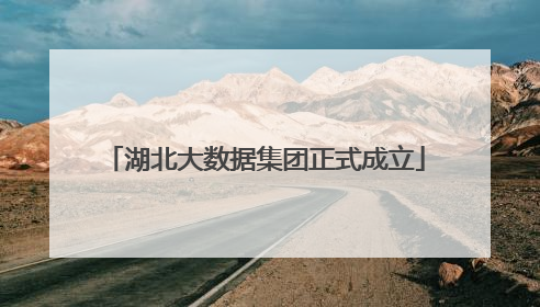 湖北大数据集团正式成立