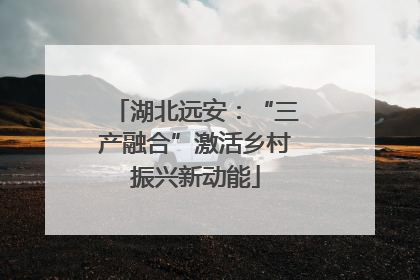 湖北远安：“三产融合”激活乡村振兴新动能