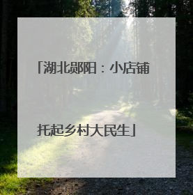 湖北郧阳：小店铺托起乡村大民生