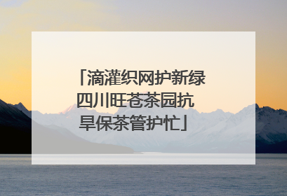 滴灌织网护新绿 四川旺苍茶园抗旱保茶管护忙