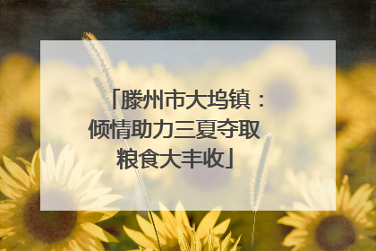 滕州市大坞镇：倾情助力三夏夺取粮食大丰收