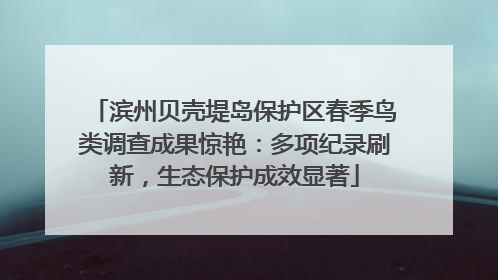 滨州贝壳堤岛保护区春季鸟类调查成果惊艳：多项纪录刷新，生态保护成效显著