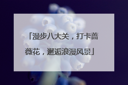 漫步八大关，打卡蔷薇花，邂逅浪漫风景