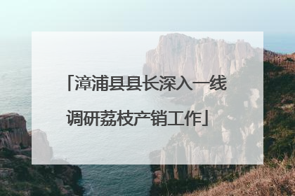 漳浦县县长深入一线调研荔枝产销工作