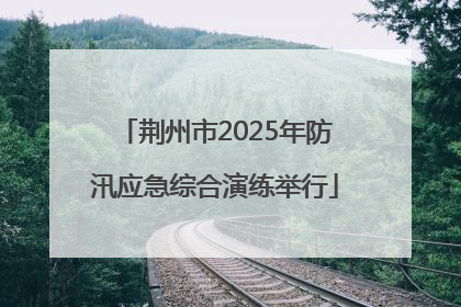 荆州市2025年防汛应急综合演练举行