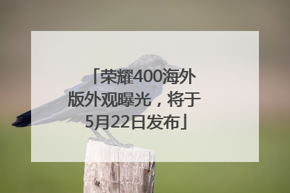 荣耀400海外版外观曝光，将于5月22日发布