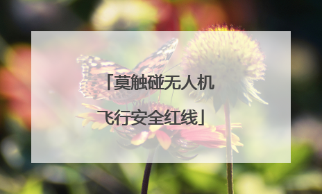 莫触碰无人机飞行安全红线
