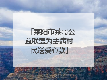 莱阳市菜哥公益联盟为患病村民送爱心款