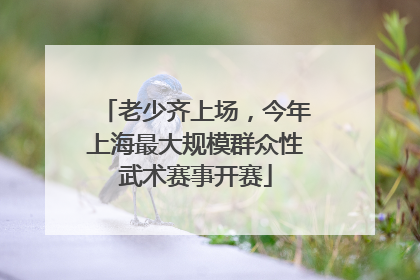 老少齐上场，今年上海最大规模群众性武术赛事开赛
