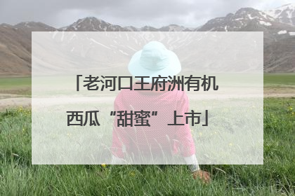 老河口王府洲有机西瓜“甜蜜”上市