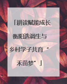 耕读赋能成长 衡阳选调生与乡村学子共育“禾苗梦”