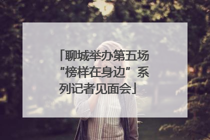 聊城举办第五场“榜样在身边”系列记者见面会