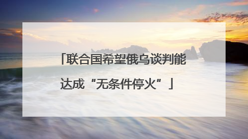 联合国希望俄乌谈判能达成“无条件停火”