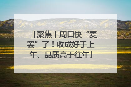 聚焦丨周口快“麦罢”了！收成好于上年、品质高于往年