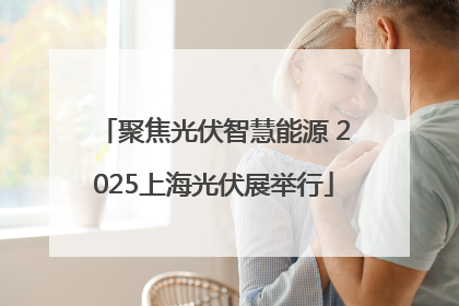 聚焦光伏智慧能源 2025上海光伏展举行