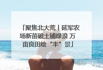 聚焦北大荒丨延军农场新苗破土铺绿浪 万亩良田绘“丰”景