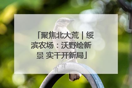 聚焦北大荒｜绥滨农场：沃野绘新景 实干开新局