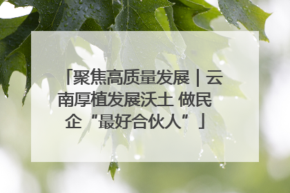 聚焦高质量发展｜云南厚植发展沃土 做民企“最好合伙人”