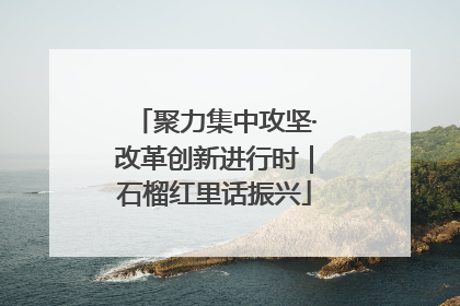聚力集中攻坚·改革创新进行时｜石榴红里话振兴