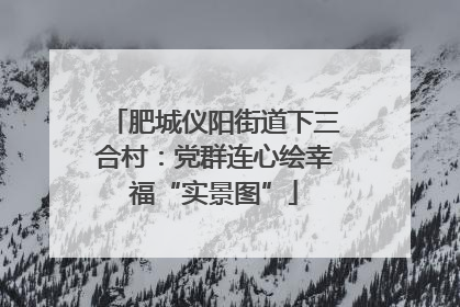 肥城仪阳街道下三合村：党群连心绘幸福“实景图”