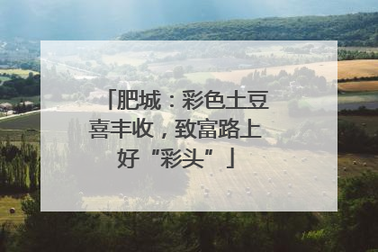 肥城：彩色土豆喜丰收，致富路上好“彩头”
