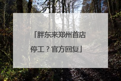 胖东来郑州首店停工？官方回复