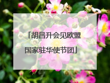 胡昌升会见欧盟国家驻华使节团