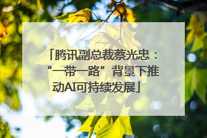 腾讯副总裁蔡光忠：“一带一路”背景下推动AI可持续发展