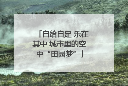 自给自足 乐在其中 城市里的空中“田园梦”