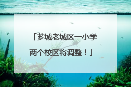 芗城老城区一小学两个校区将调整！
