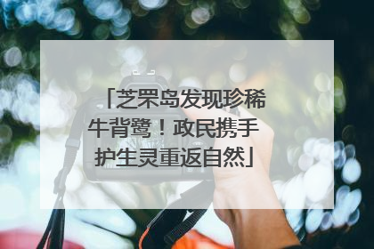 芝罘岛发现珍稀牛背鹭！政民携手护生灵重返自然