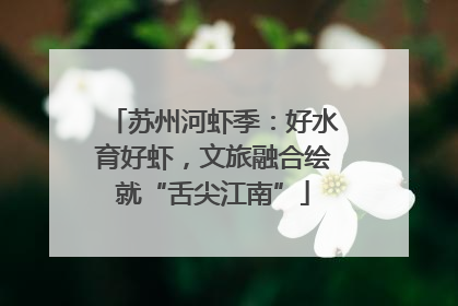 苏州河虾季：好水育好虾，文旅融合绘就“舌尖江南”
