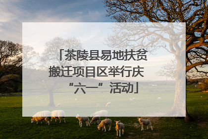 茶陵县易地扶贫搬迁项目区举行庆“六一”活动