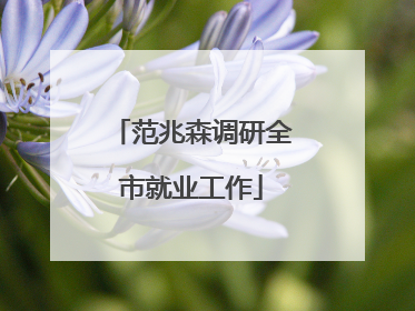 范兆森调研全市就业工作
