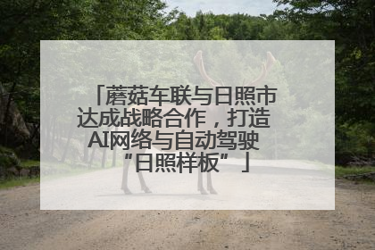 蘑菇车联与日照市达成战略合作，打造AI网络与自动驾驶“日照样板”