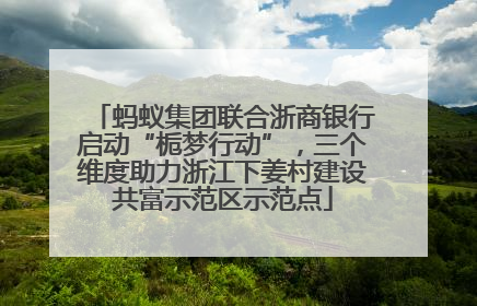 蚂蚁集团联合浙商银行启动“栀梦行动”，三个维度助力浙江下姜村建设共富示范区示范点