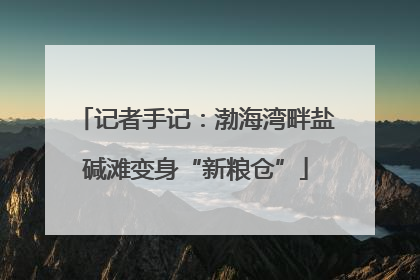 记者手记：渤海湾畔盐碱滩变身“新粮仓”
