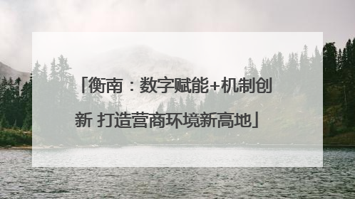 衡南：数字赋能+机制创新 打造营商环境新高地