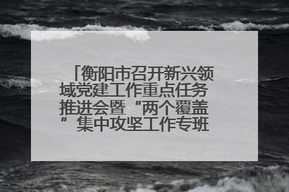 衡阳市召开新兴领域党建工作重点任务推进会暨“两个覆盖”集中攻坚工作专班 第一次会议