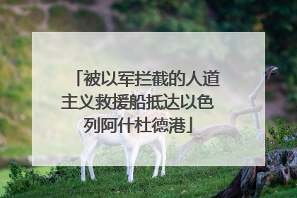被以军拦截的人道主义救援船抵达以色列阿什杜德港