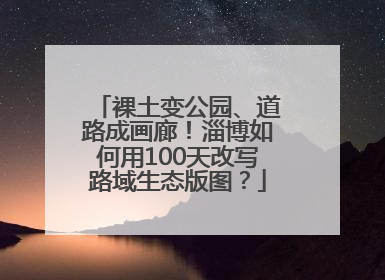 裸土变公园、道路成画廊！淄博如何用100天改写路域生态版图？
