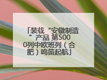 装载“安徽制造”产品 第5000列中欧班列（合肥）鸣笛起航