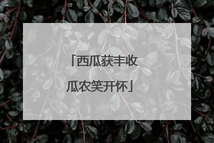 西瓜获丰收 瓜农笑开怀
