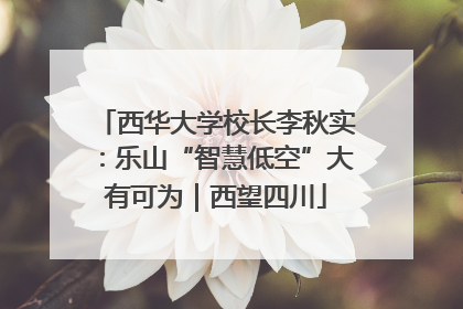 西华大学校长李秋实：乐山“智慧低空”大有可为｜西望四川