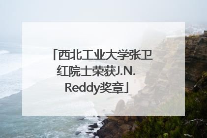 西北工业大学张卫红院士荣获J.N.Reddy奖章