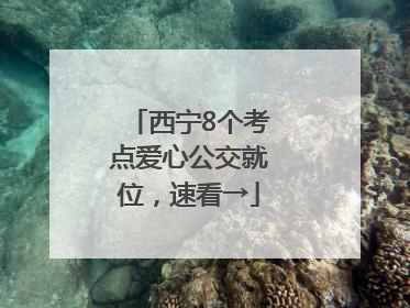 西宁8个考点爱心公交就位，速看→