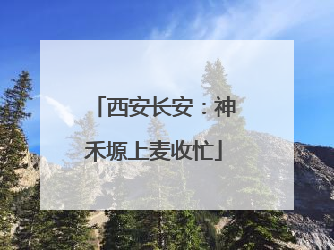 西安长安：神禾塬上麦收忙