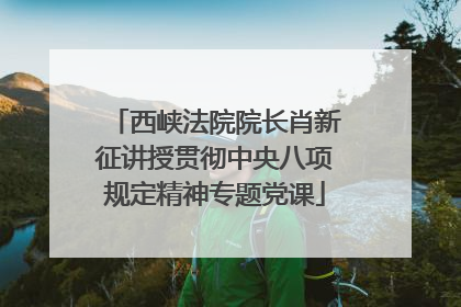 西峡法院院长肖新征讲授贯彻中央八项规定精神专题党课