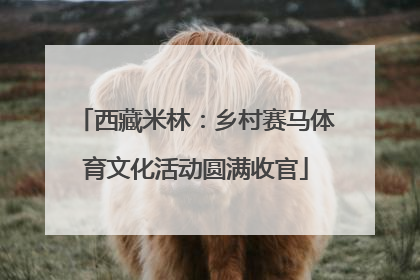 西藏米林：乡村赛马体育文化活动圆满收官