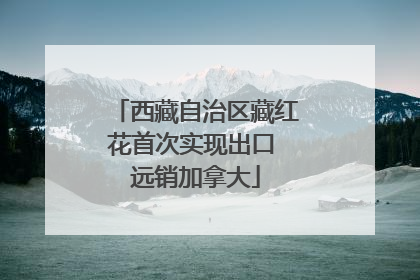 西藏自治区藏红花首次实现出口 远销加拿大